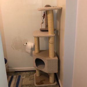 Cat playing tower